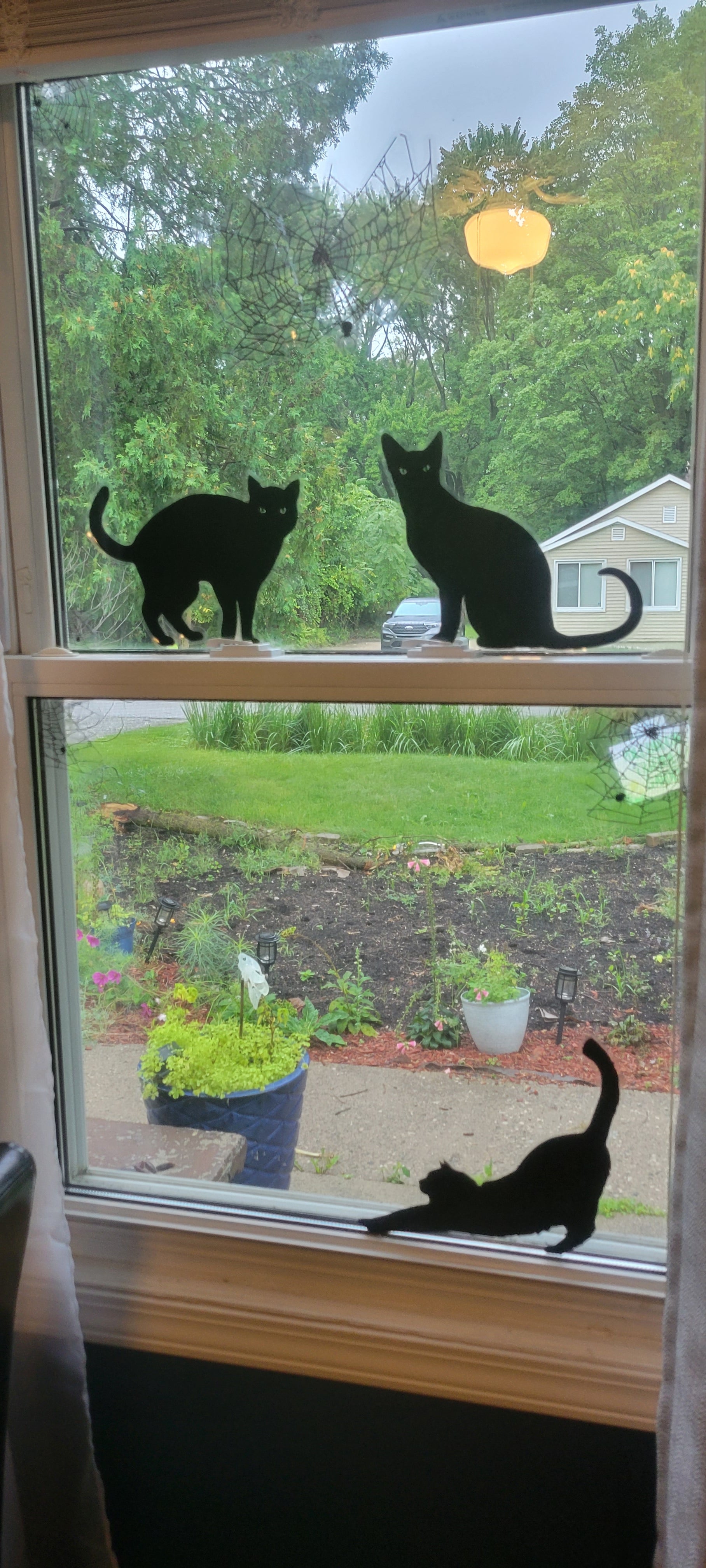 The main image features a black cat static cling decal, designed for Halloween window decor. The black cats are depicted in a playful pose, outlined with a contour cut, and printed in bold solid black ink. The decal is shown applied to a glass window with a clean, smooth surface, showcasing its non-permanent, renter-friendly design.