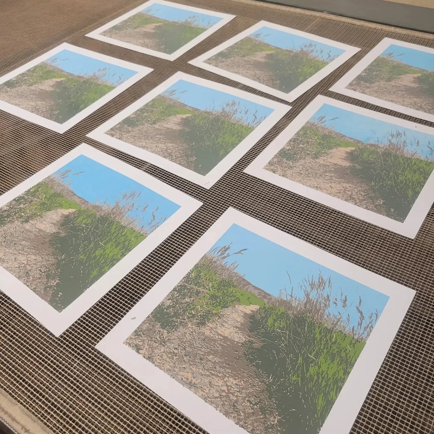 A process photo of the printing of "Picture Rock Trail", a 6 color screenprint by InkBird Print Studio. Original photo by Claire Davis. This photo shows multiple prints laid out on a conveyor belt dryer after the 6th and final color has been applied.