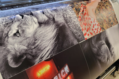 Four large photos being printed on Sihl PhotoBoard, ready to be trimmed to bleed and framed. Bright colors, crisp lines and detail from the Epson 40600