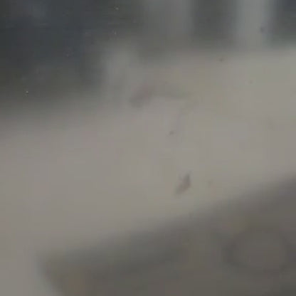 New! Cauldron Kitchen Conversion Wood Magnet (Neodymium)