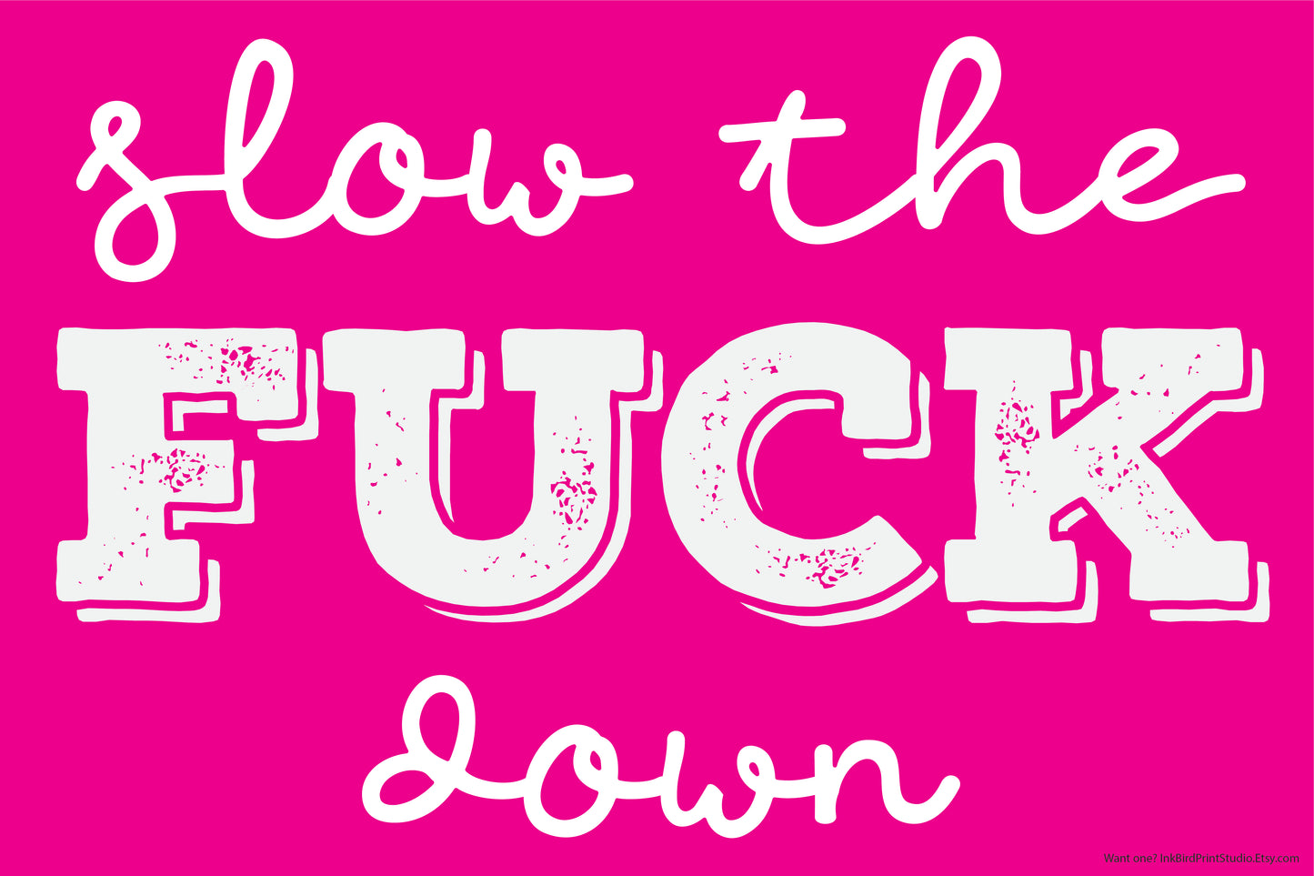 Slow The F*ck Down Yard Sign 18"x24"