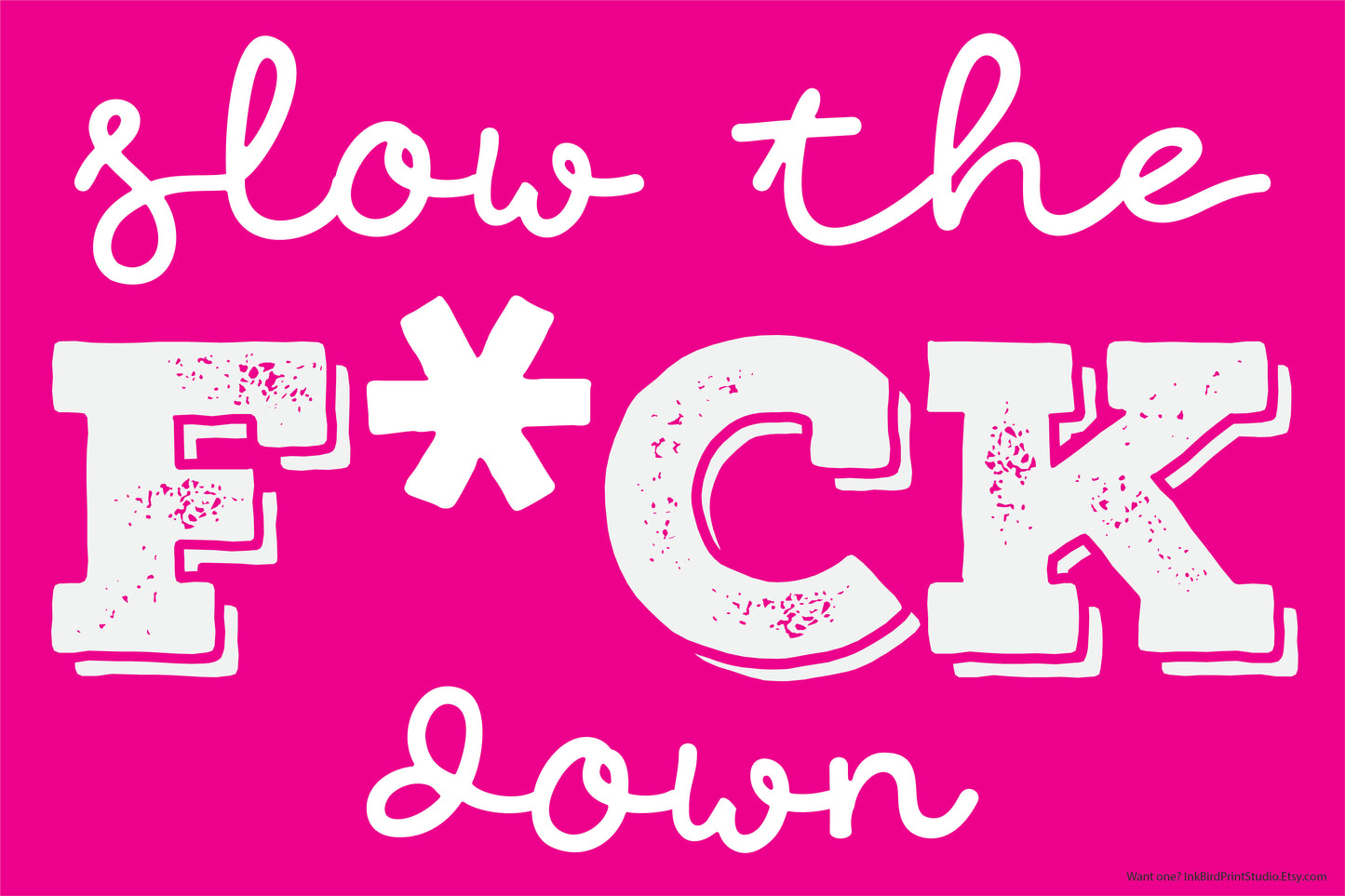 Slow The F*ck Down Yard Sign 18"x24"