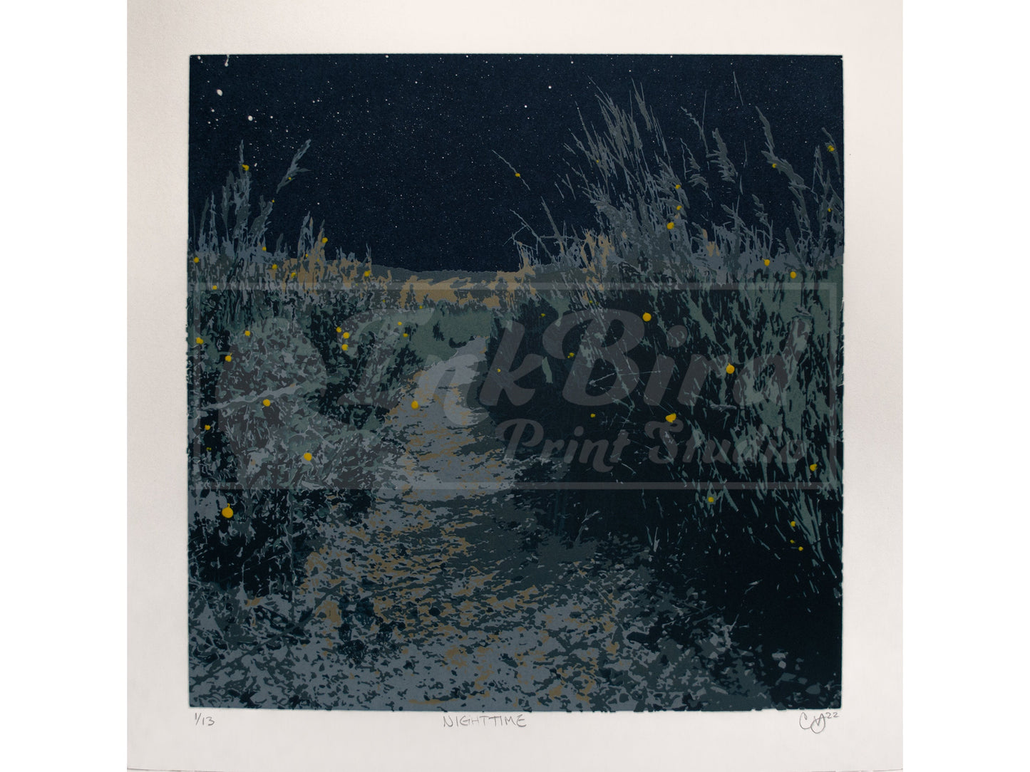 Nighttime | Picture Rock Trail Screen Print | Colorado Screen Print | 6 Color Separated Screen Print