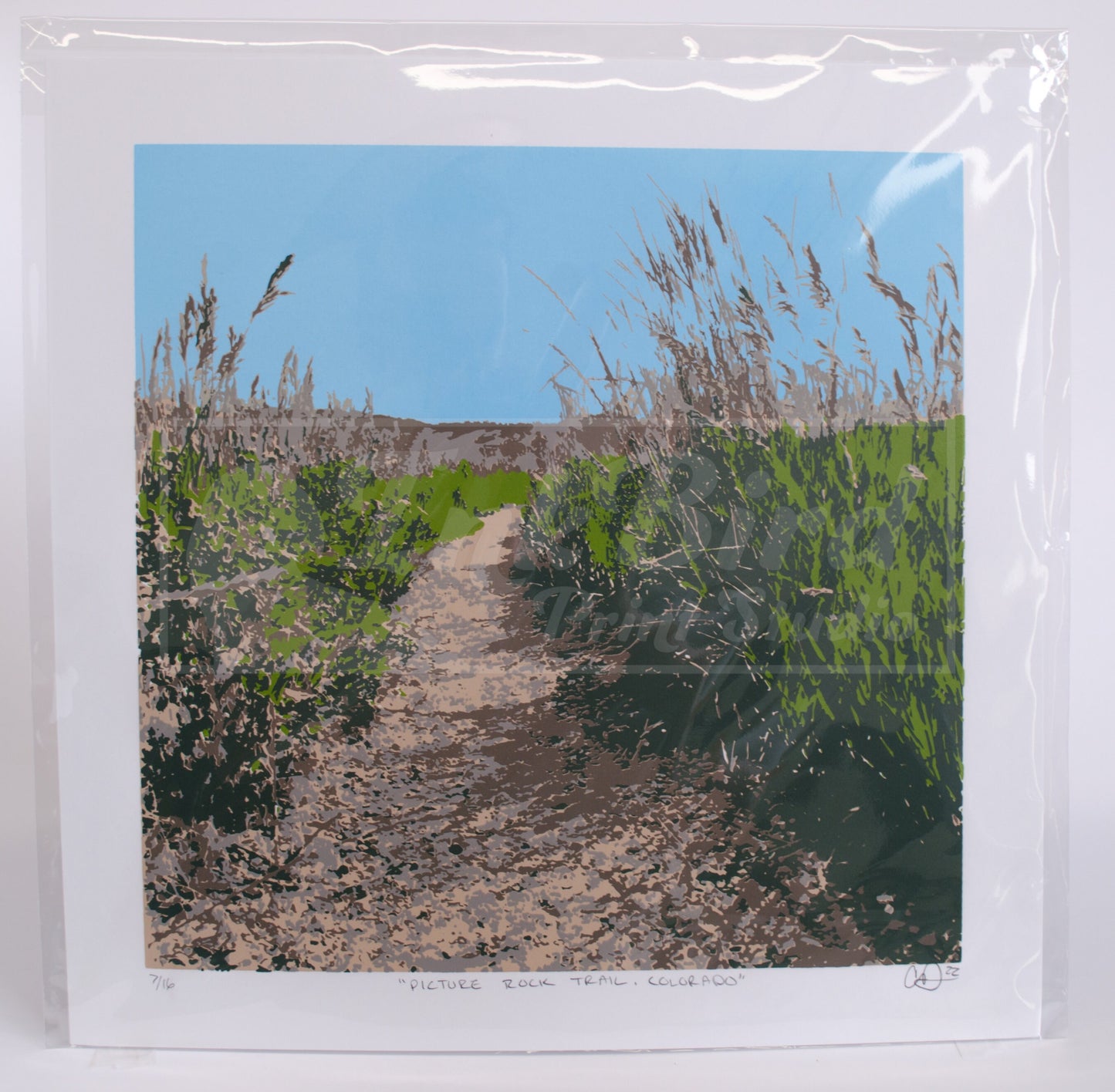 Picture Rock Trail Screen Print UNFRAMED | Colorado Screen Print | 6 Color Separated Screen Print |