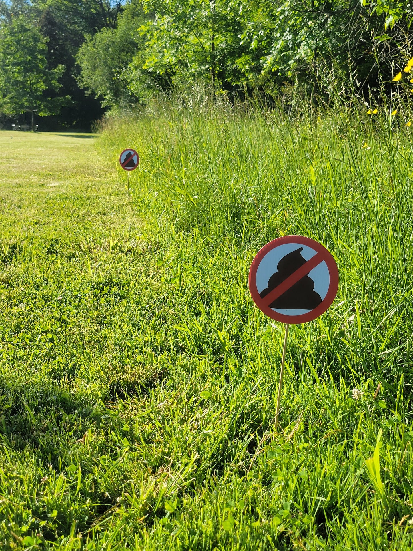 No Pooping sign for yards and gardens. 6" diameter, 12" dowel